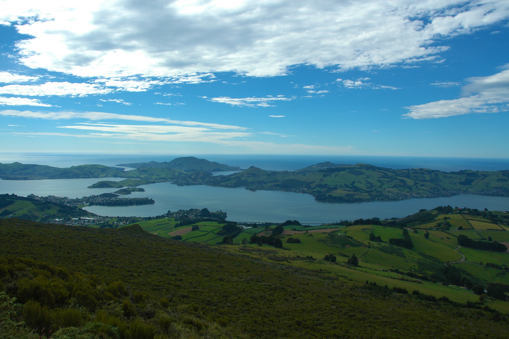 Dunedin Peninsula-1
