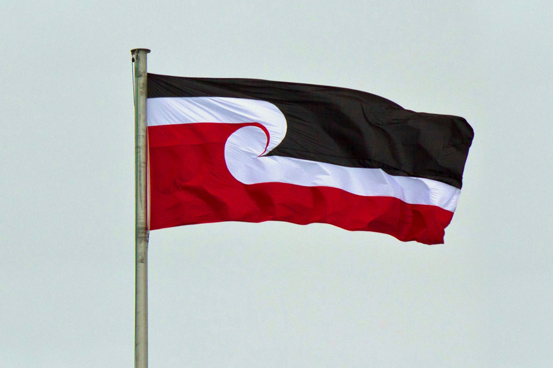 hero-tino-rangatiratanga-flag